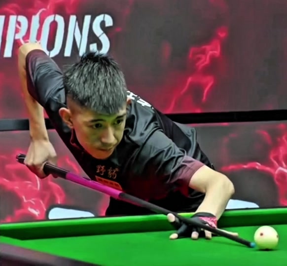 职业生涯 职业生涯